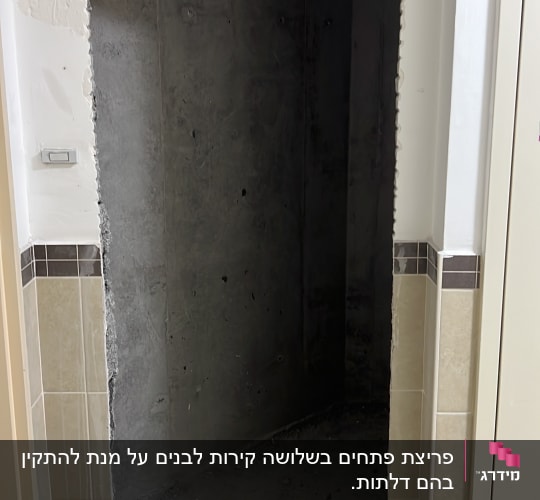שיפוצניקים